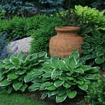 Residential Landscaping Services