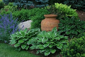 Residential Landscaping Services