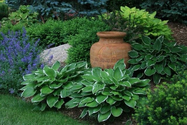 Residential Landscaping Services